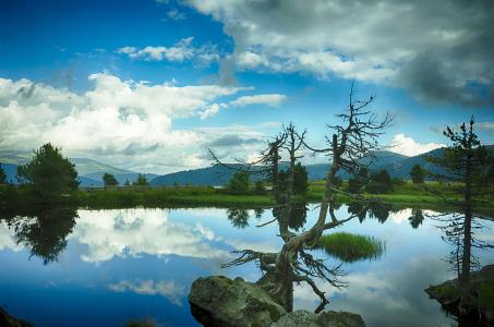 ձͣ׼뾳 Ӣ䶨ڿ˺ͣ